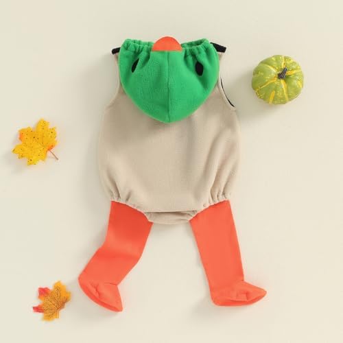 Mallard Duck Costume Halloween