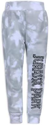 Jurassic Park Boys 2 Piece Sweatshirt and Pants Set