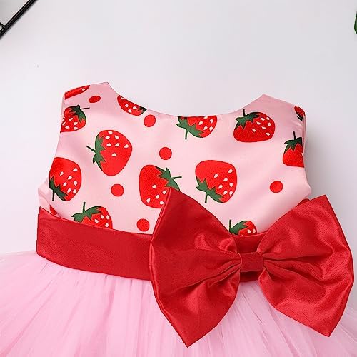 Baby Princess Tutu Dress with Headband 2Pcs Set