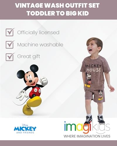 Disney Mickey Mouse Small to Big Kid T-Shirt and Shorts Set