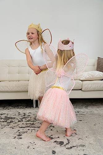 Little Adventures Shimmer Wings Costume Dress