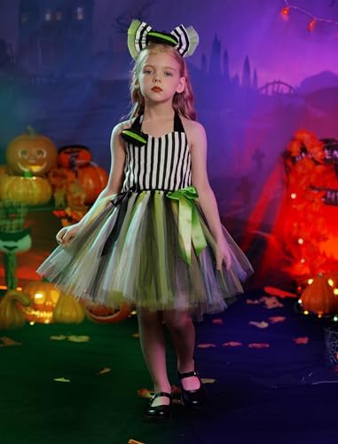 Fancy Halloween Costume Black and White Striped Tulu Dress for Girls