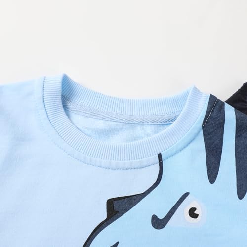 HILEELANG Boys 2-Piece Jogger and Sweater Set