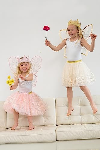 Little Adventures Shimmer Wings Costume Dress