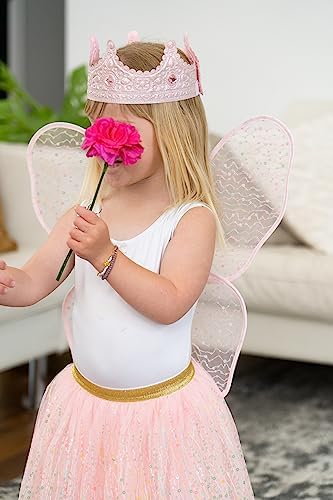 Little Adventures Shimmer Wings Costume Dress