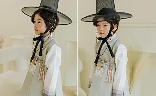 Festive Korean Striped Baby Boy Hanbok for Drops to 15