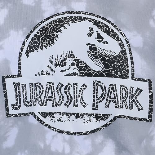 Jurassic Park Boys 2 Piece Sweatshirt and Pants Set