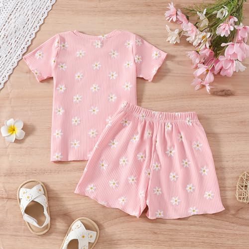 AMIMOJY Baby Girls Summer Dress Set 2Pcs