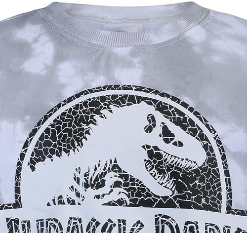 Jurassic Park Boys 2 Piece Sweatshirt and Pants Set