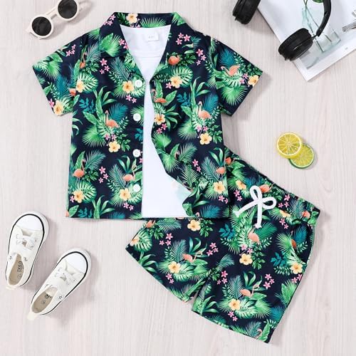 Perfect Boys Hawaiian Outfit 2Pcs Set for Kids