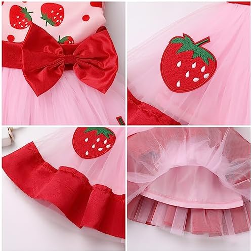 Baby Princess Tutu Dress with Headband 2Pcs Set
