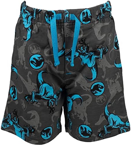 Jurassic World T-Shirt French Terry Shorts Set Big Kids