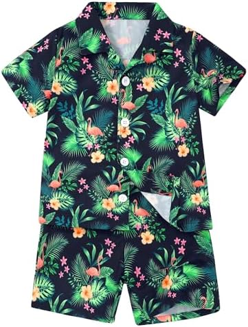 Perfect Boys Hawaiian Outfit 2Pcs Set for Kids