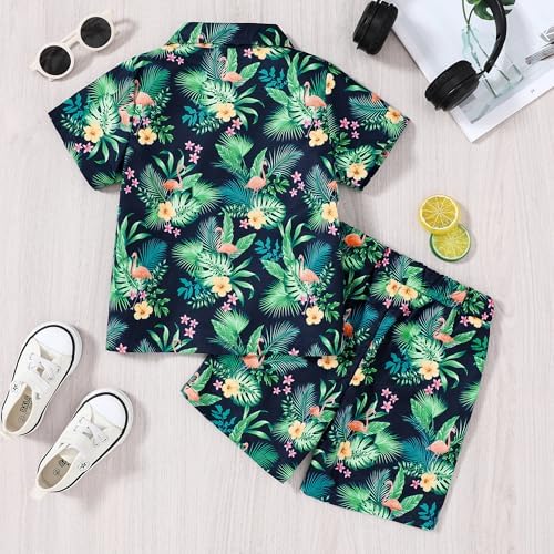 Perfect Boys Hawaiian Outfit 2Pcs Set for Kids