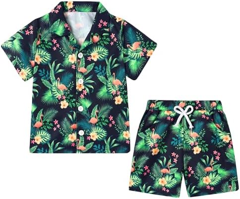 Perfect Boys Hawaiian Outfit 2Pcs Set for Kids