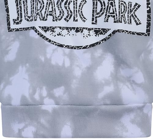 Jurassic Park Boys 2 Piece Sweatshirt and Pants Set