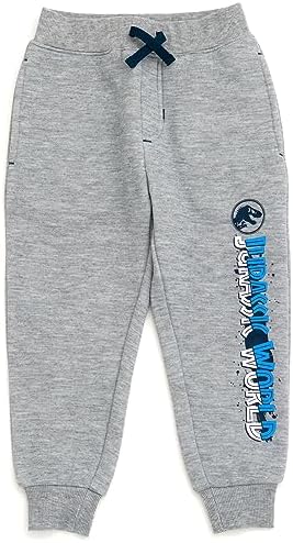 Double Knit T-Rex Pullover Pants Set