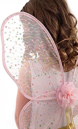 Little Adventures Shimmer Wings Costume Dress
