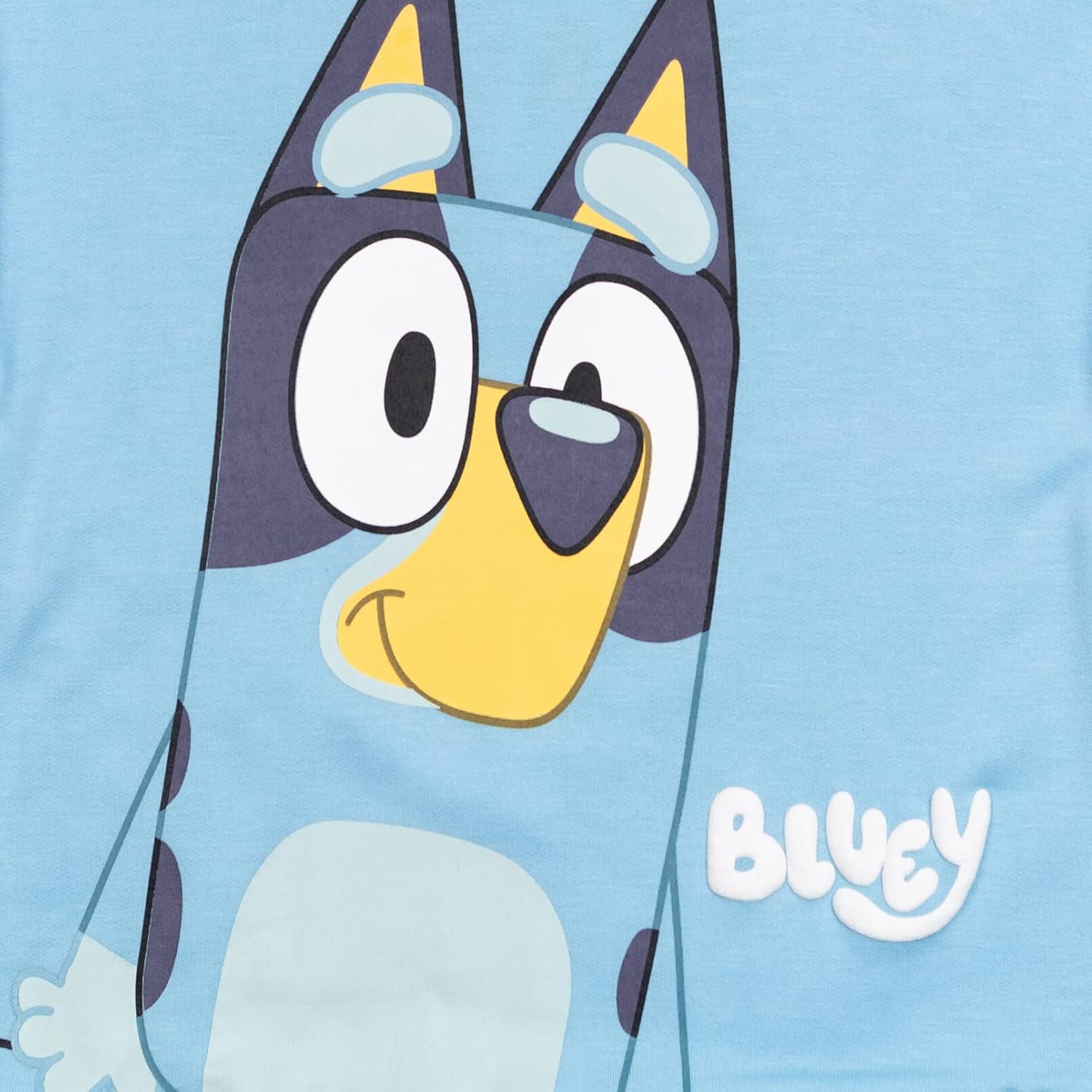 Bluey Boys Fleece Set Toddler to Big Kid