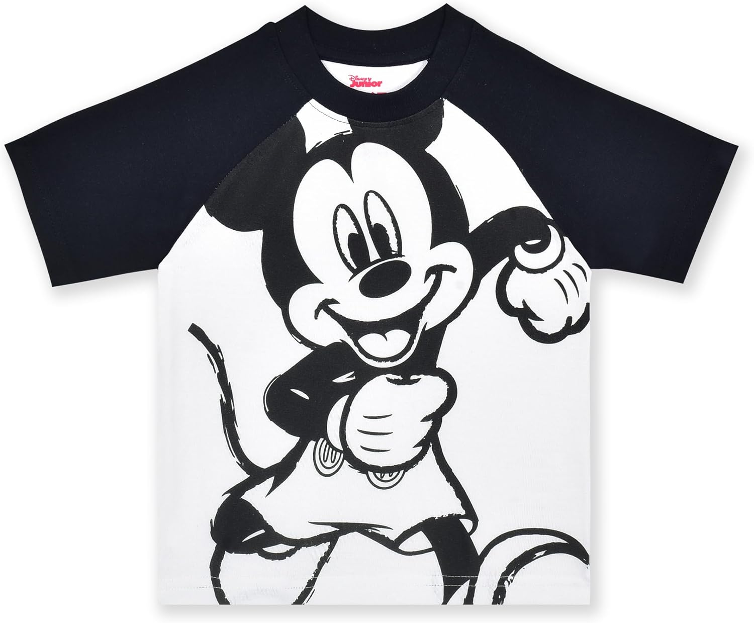 Disney Mickey Mouse Boys u20182-Pieceu2019 T-Shirt and Pants Set