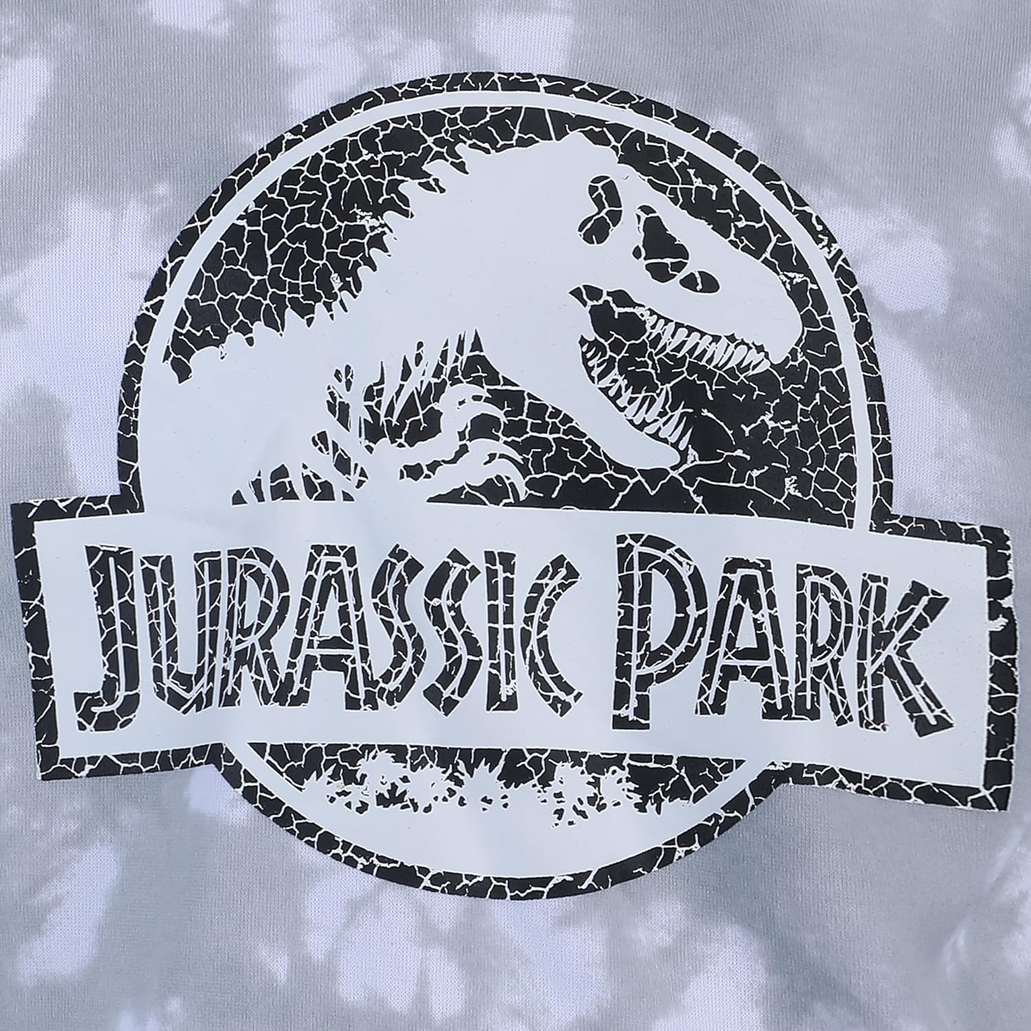 Jurassic Park Boys 2 Piece Sweatshirt and Pants Set