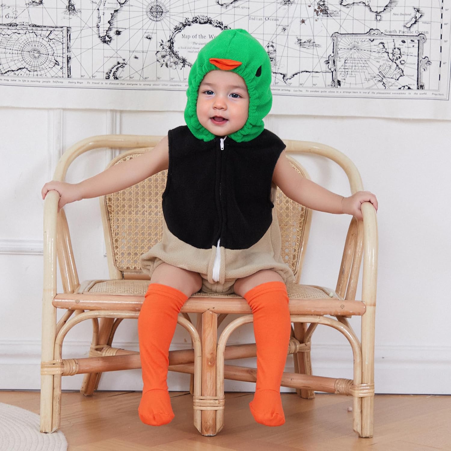 Mallard Duck Costume Halloween