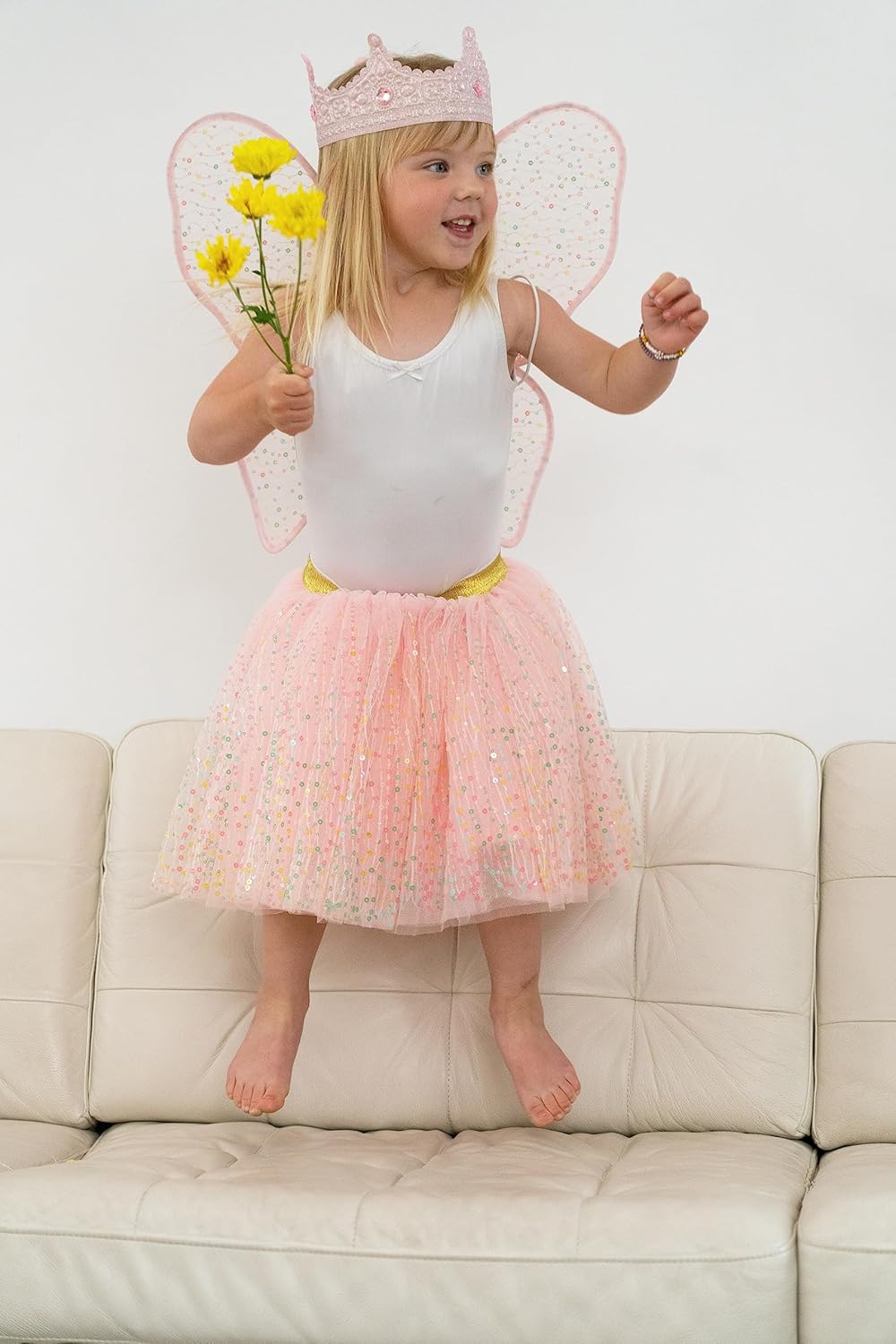 Little Adventures Shimmer Wings Costume Dress