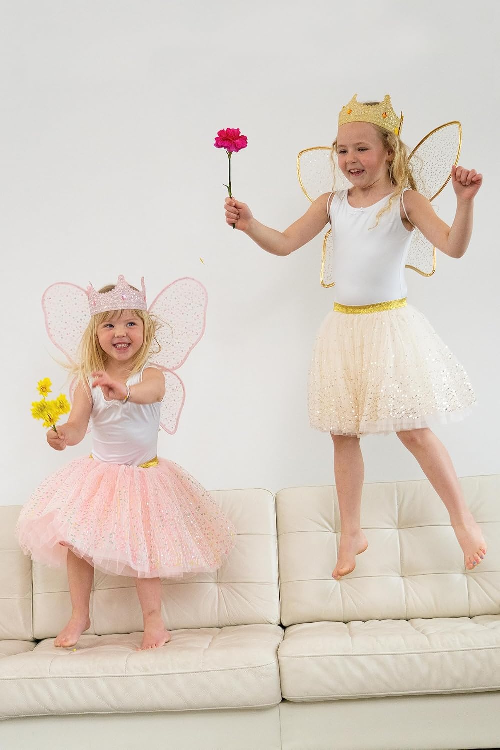 Little Adventures Shimmer Wings Costume Dress