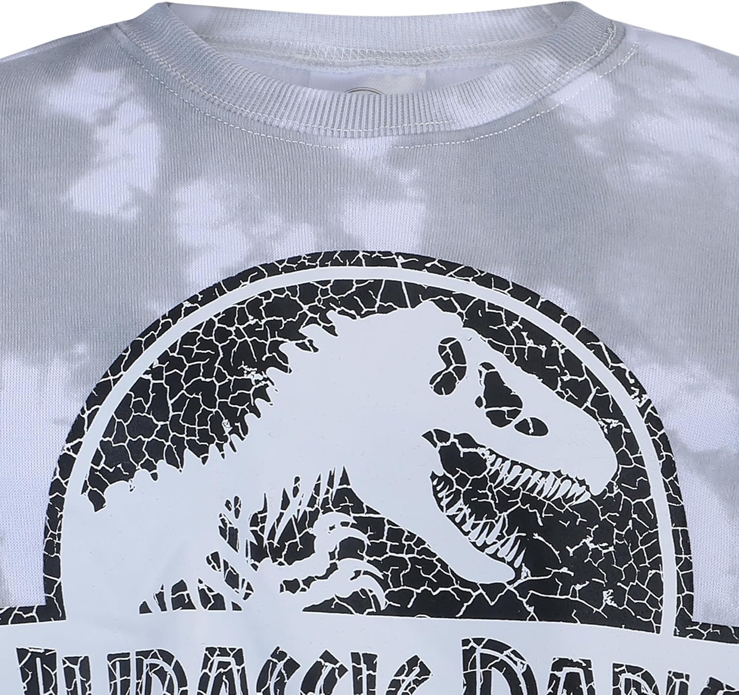 Jurassic Park Boys 2 Piece Sweatshirt and Pants Set