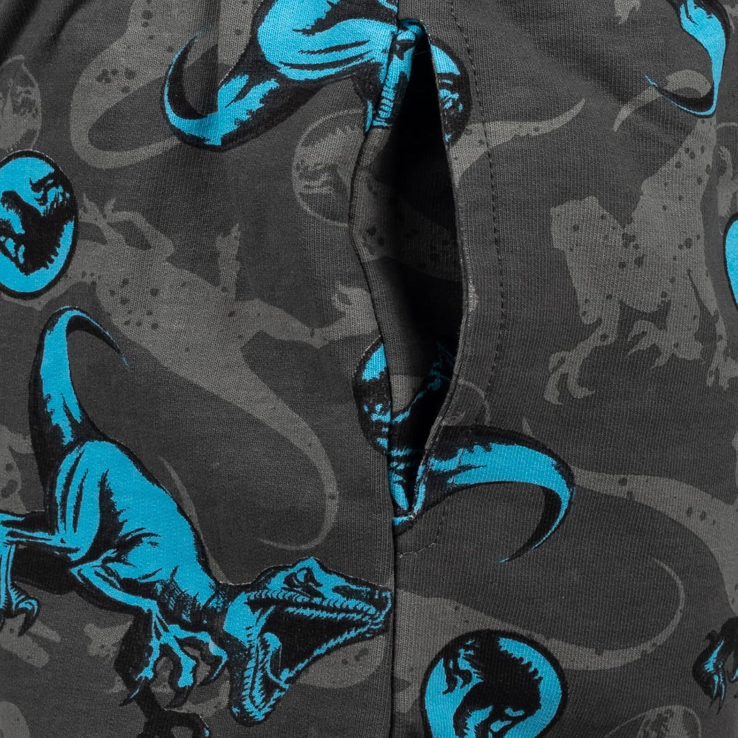 Jurassic World T-Shirt French Terry Shorts Set Big Kids