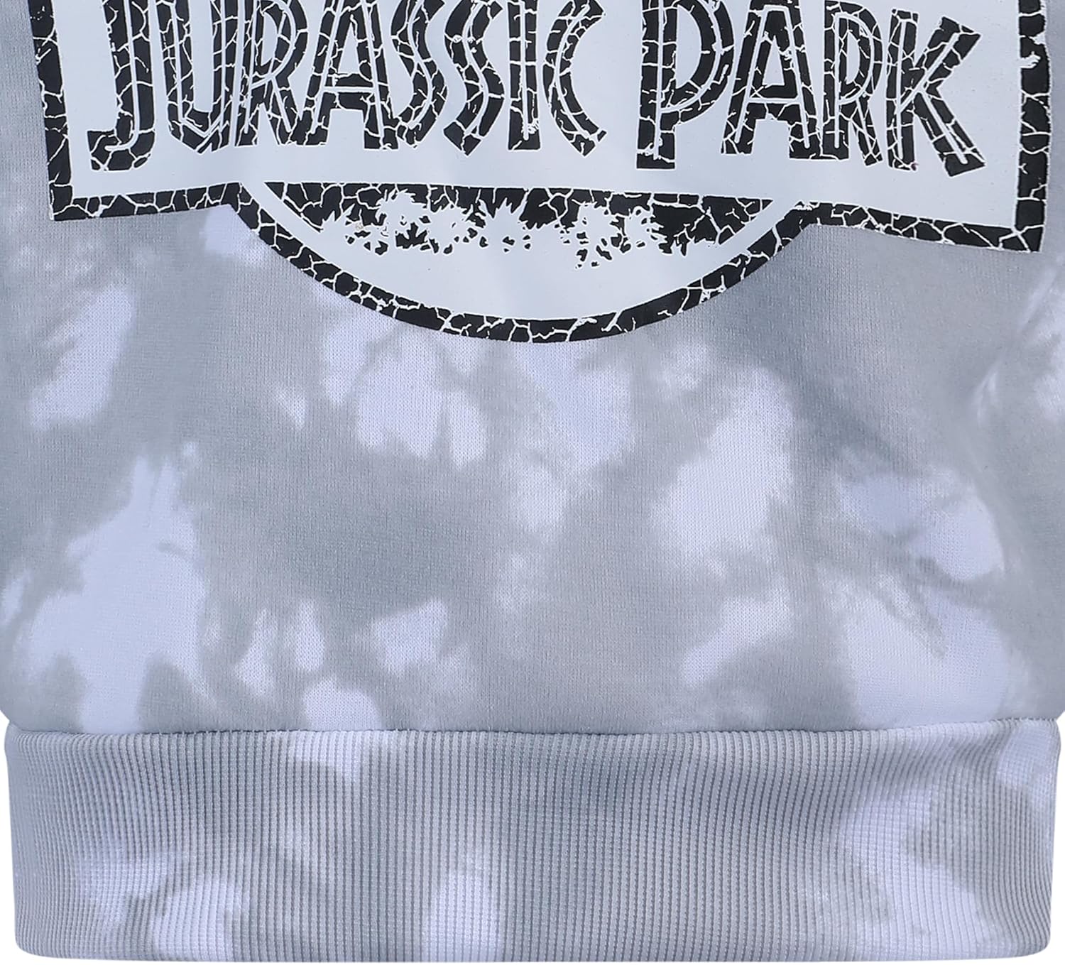 Jurassic Park Boys 2 Piece Sweatshirt and Pants Set