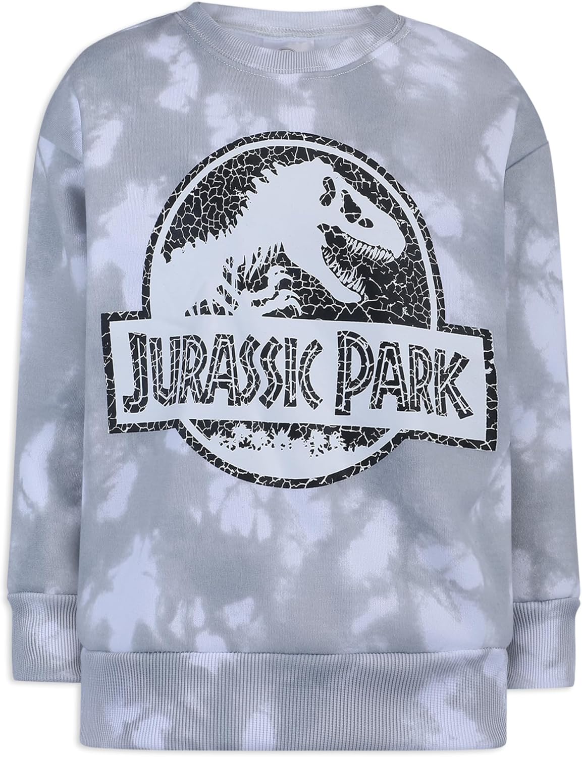 Jurassic Park Boys 2 Piece Sweatshirt and Pants Set
