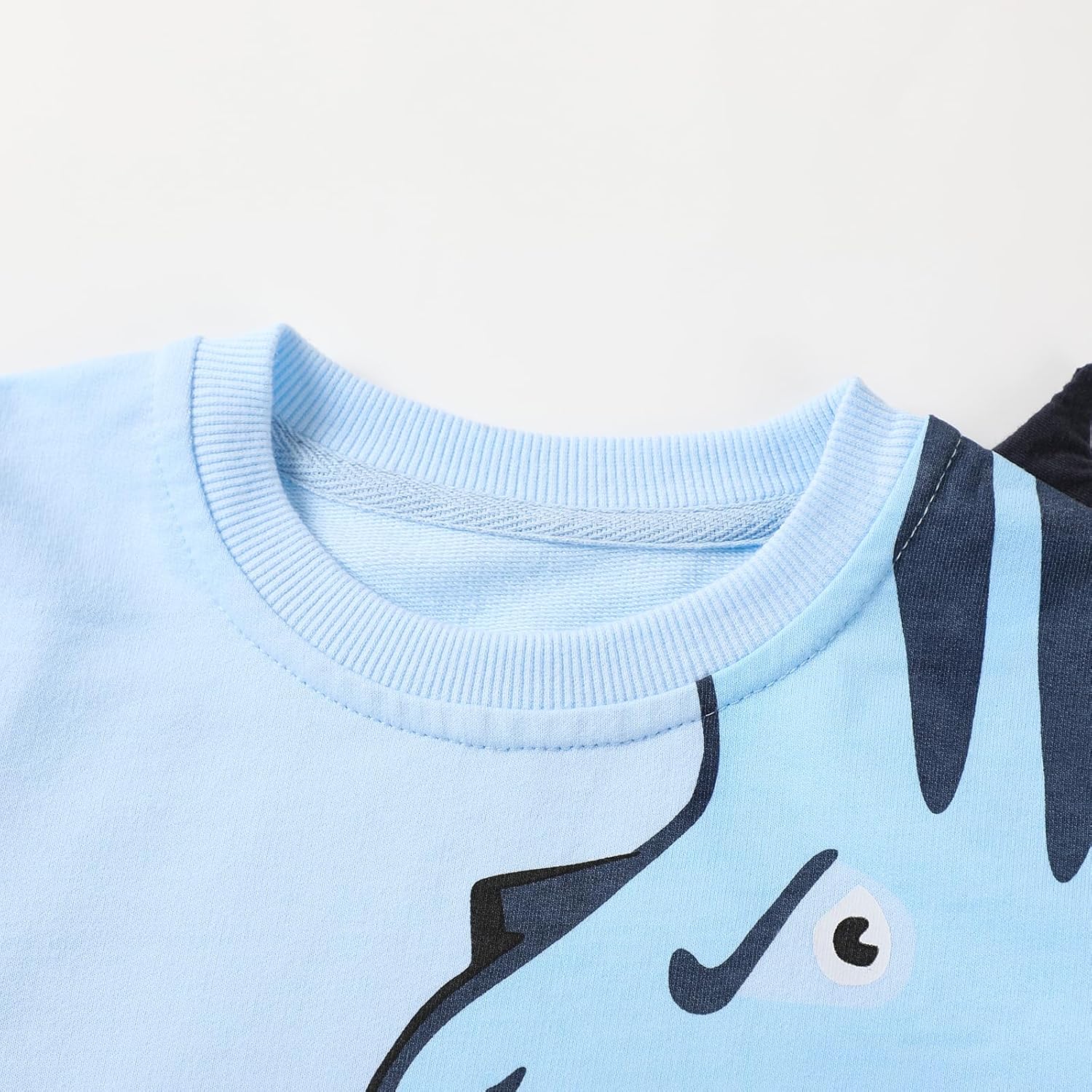 HILEELANG Boys 2-Piece Jogger and Sweater Set