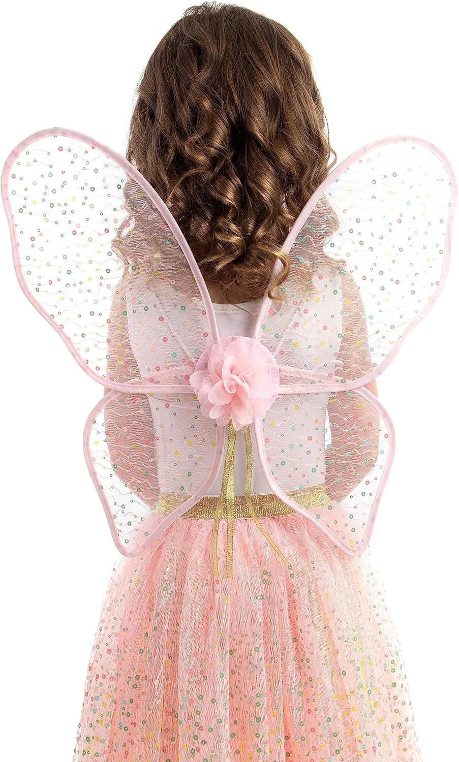 Little Adventures Shimmer Wings Costume Dress