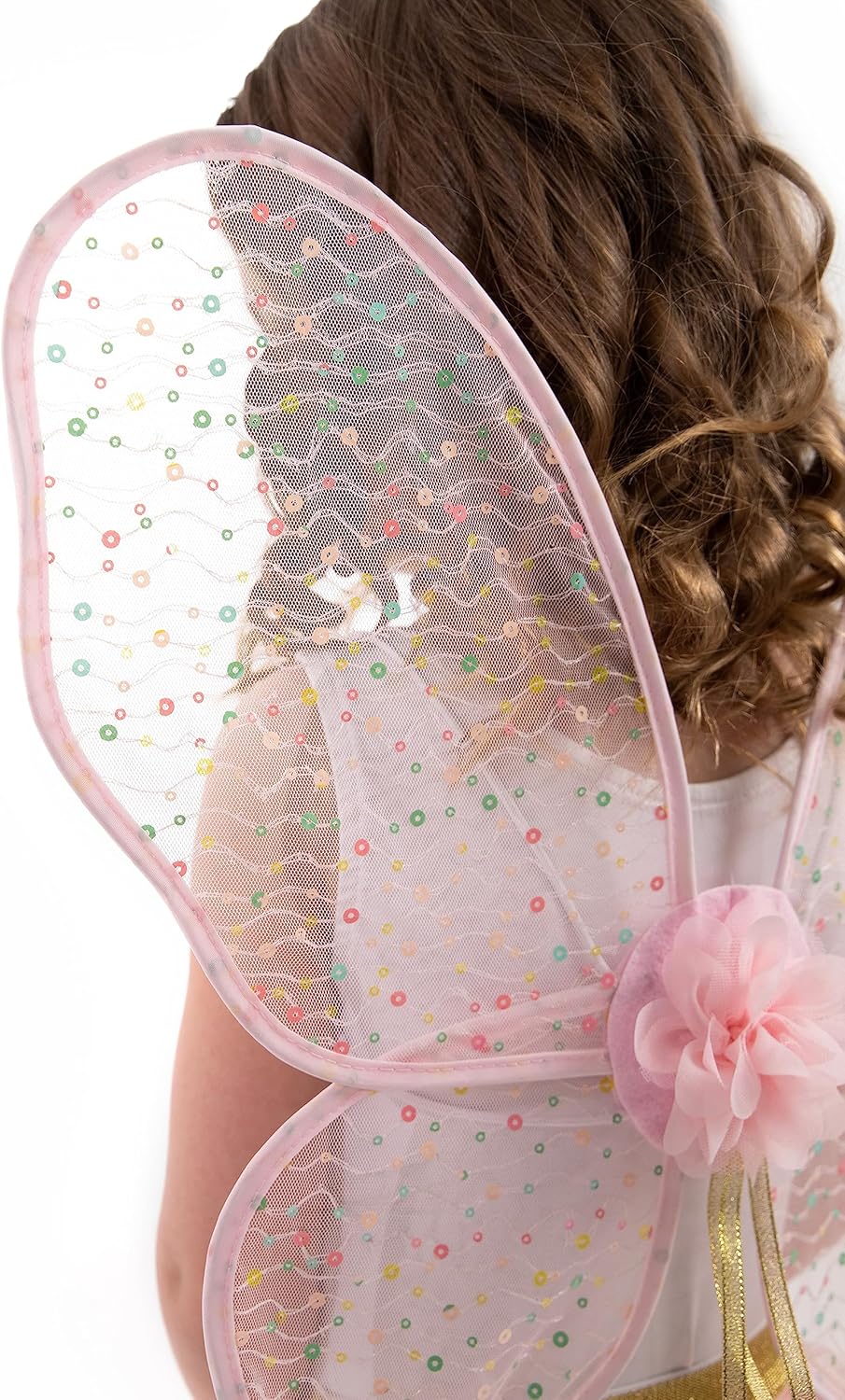 Little Adventures Shimmer Wings Costume Dress